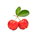 Acerola
