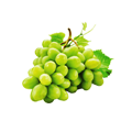Uva
