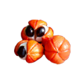 Guaraná