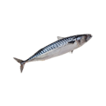 Cavala