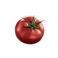 Tomate