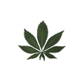 Folha de Maconha